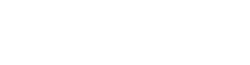 Baldivicio Logo